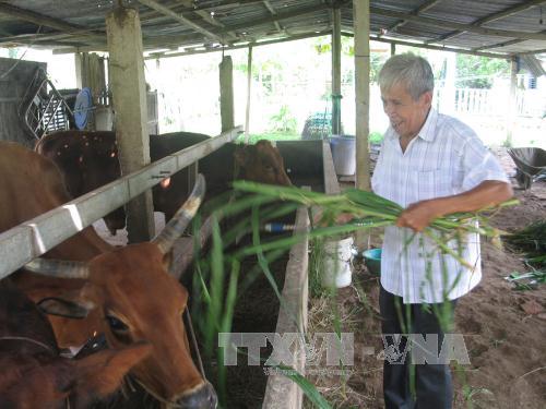 Mở hướng đi mới giúp nông dân chuyển đổi cây trồng phát triển kinh tế